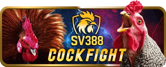 Banner khuyến mãi đá gà leo88